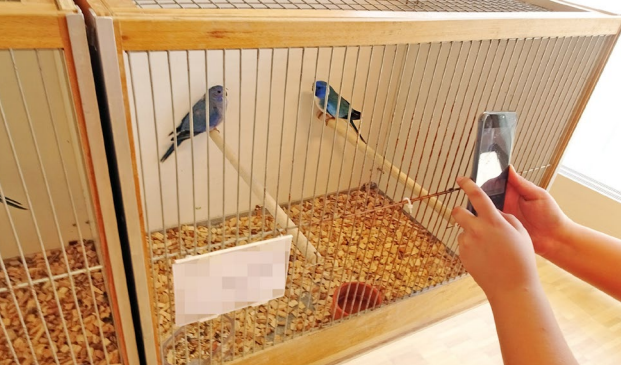 Vogelbörse Martigny